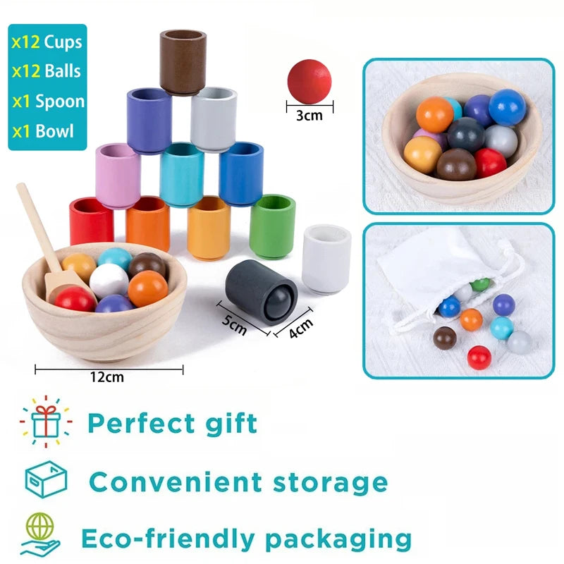 Montessori Wooden Balls in Cups Sorter - Rainbow Color Sorting Game Size Chart