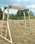 Lifespan Kids Daintree 2-in-1 Monkey Bars & Swing Set | Hybrid Play Centre