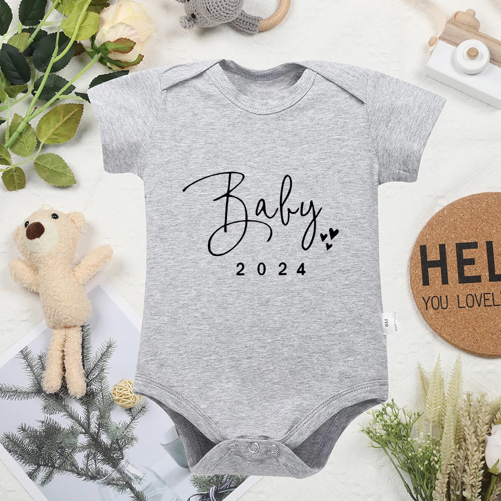 Baby 2024 Announcement Onesie - Fun Newborn Onesie in 5 Colours Baby & Toddler Clothing Accessories Baby Stork Grey 0-3 Months 
