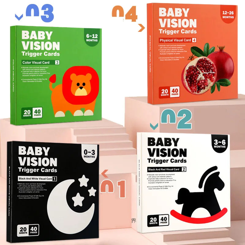 Bright Minds Baby Vision Flash Cards: Unlocking the Power of Right Brain Learning Baby Stork 