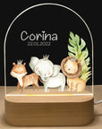 Personalised Acrylic LED Night Light - Kings & Queens of the Jungle Baby Stork 