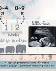 Ultrasound Countdown Photo Frame - Perfect Gift for Expecting Parents Baby Gift Sets Baby Stork 